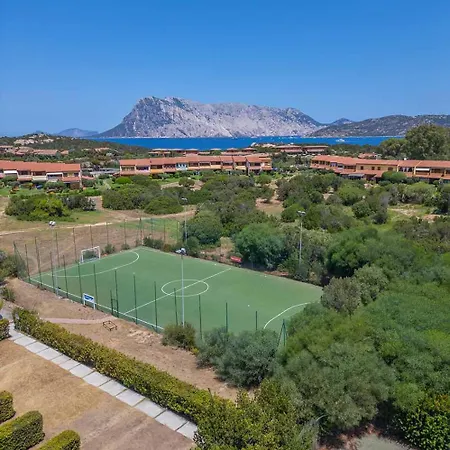 Baja Bianca Capo Coda Cavallo